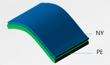 structure for twin pouch